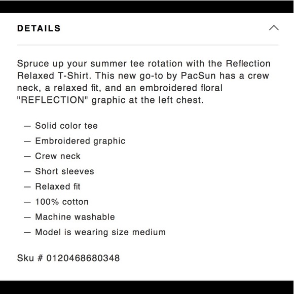 ✨HP✨ PacSun Embroidered “Reflection” Tee - Picture 4 of 4